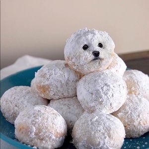 Meet your Posher, Gabbi